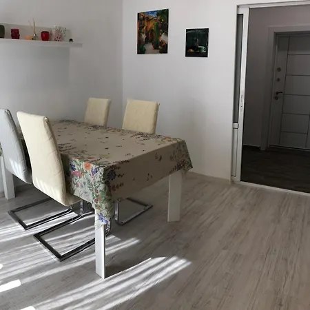 Calendula * בורגאס