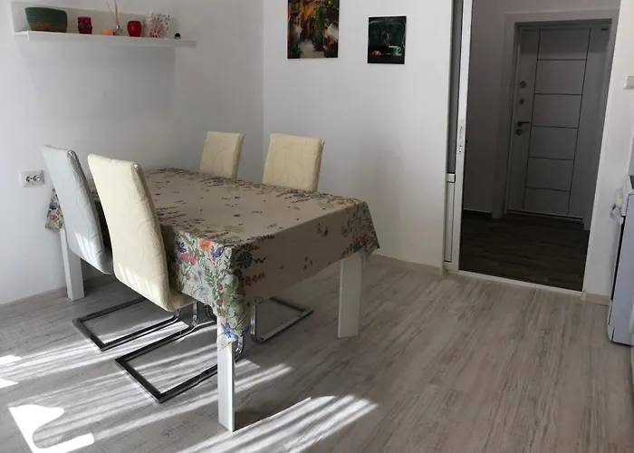 Calendula * בורגאס